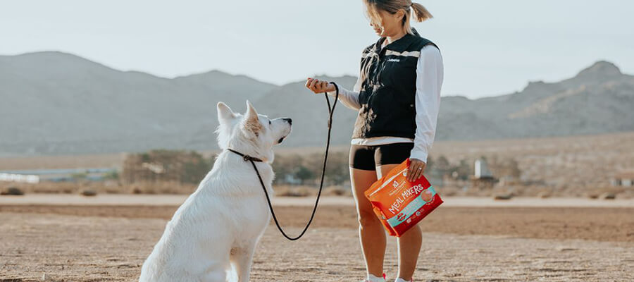How to Correct Unwanted Barking in Dogs: Effective Strategies